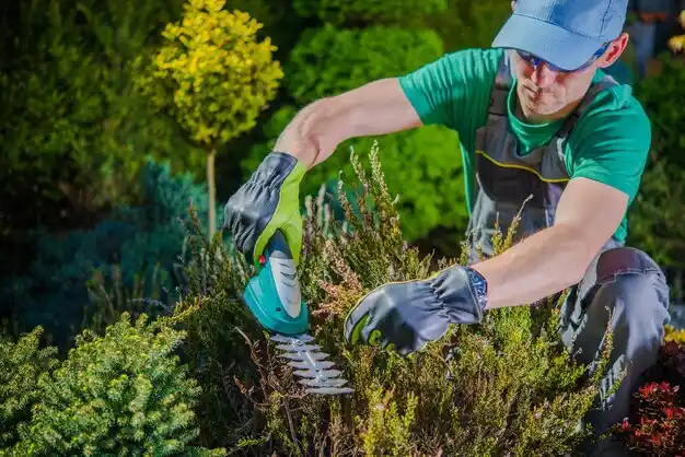 landscaping services Eastlake
